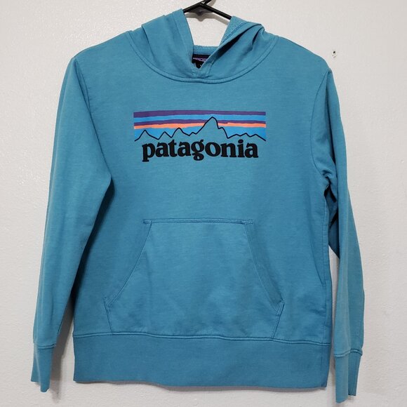 Patagonia Other - Patagonia Kids Graphic Hoodie